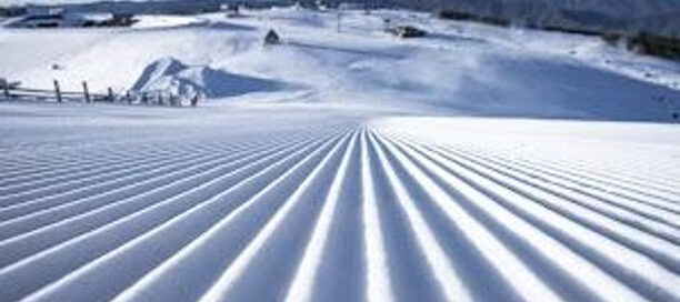 Mt Buller Cordoroy