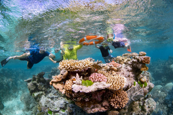 Australia for water lovers